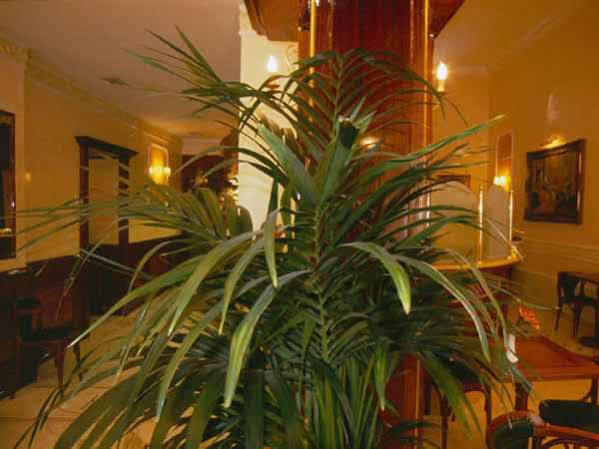 Quisisana Roma